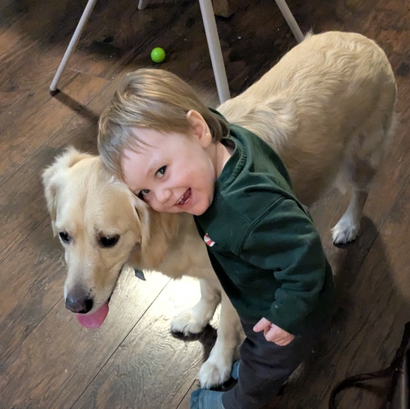 Like to be notified of live shows - Picture 7 of 7